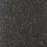 پونه سبز 6252